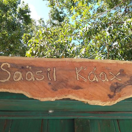 Saasil Kaax Villa Chemuyil Bagian luar foto